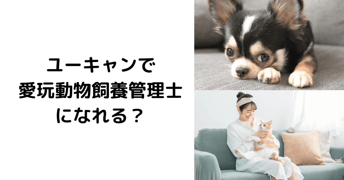 ユーキャンで愛玩動物飼養管理士になれる？